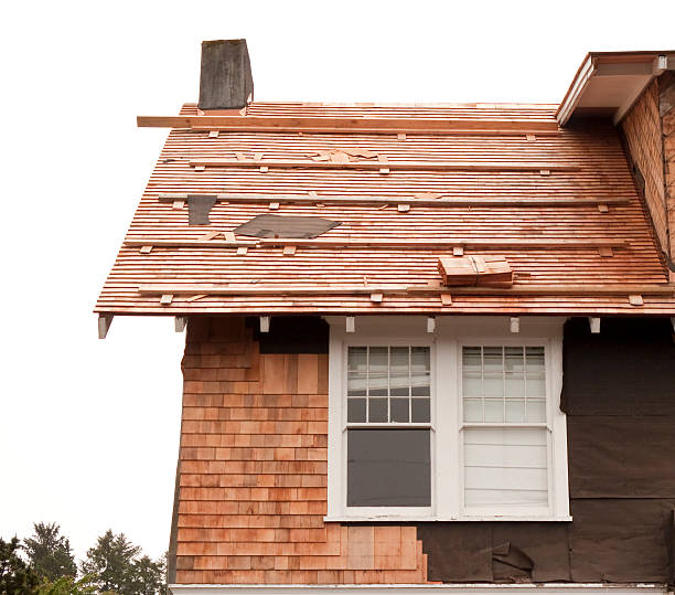 Siding Removal and Disposal in Halls, TN